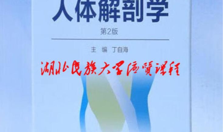 人体解剖学