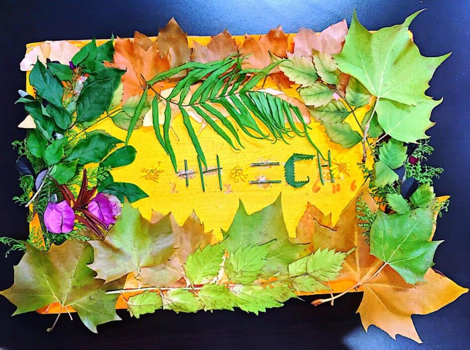 化学文化节2025  2