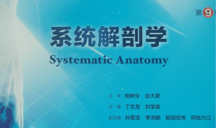 系统解剖学